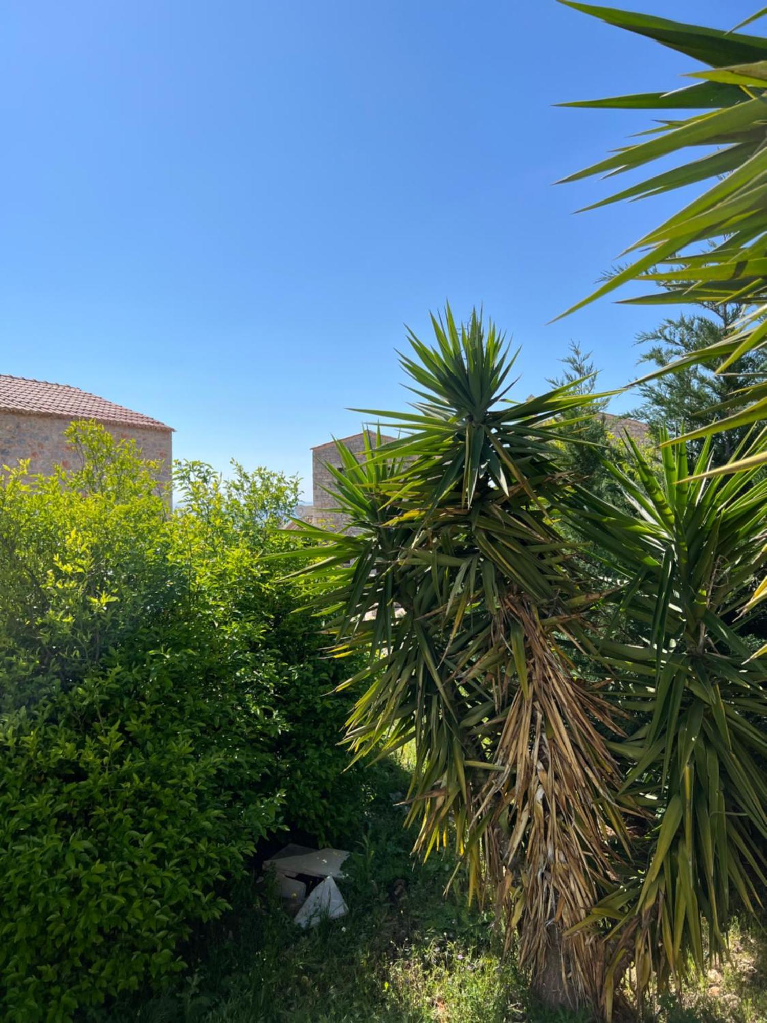 Koukouri Village Kafiona Exterior foto