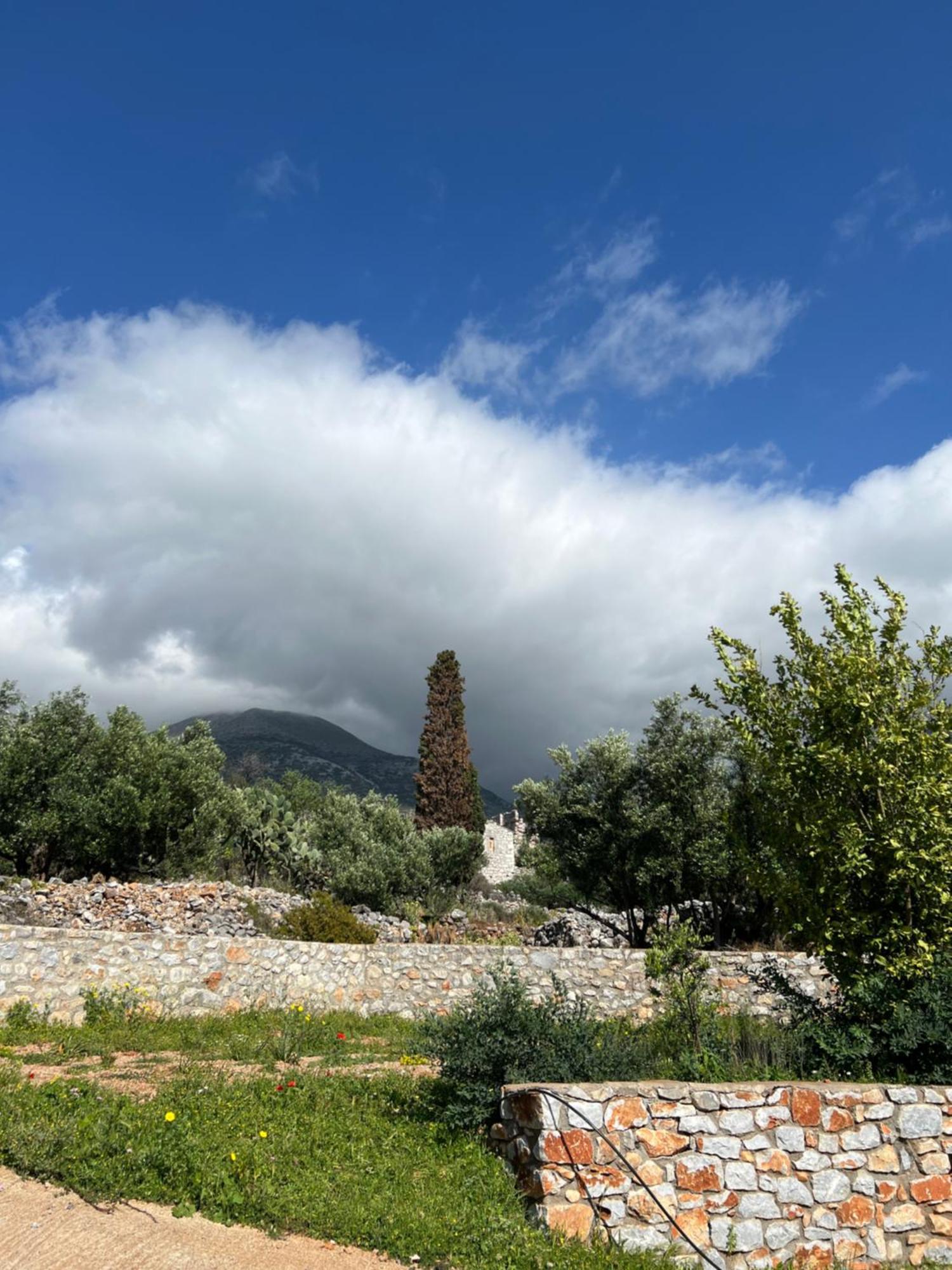 Koukouri Village Kafiona Exterior foto