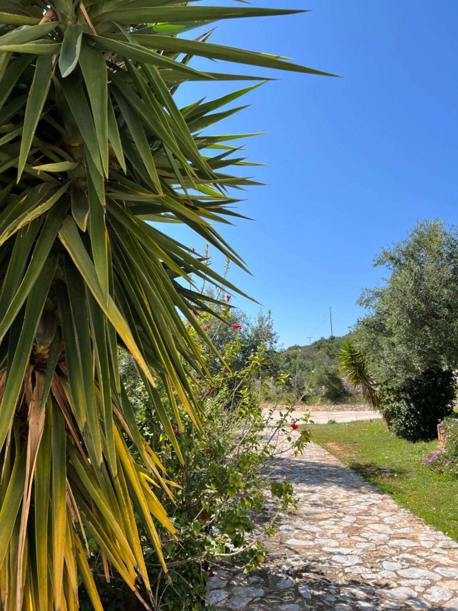 Koukouri Village Kafiona Exterior foto