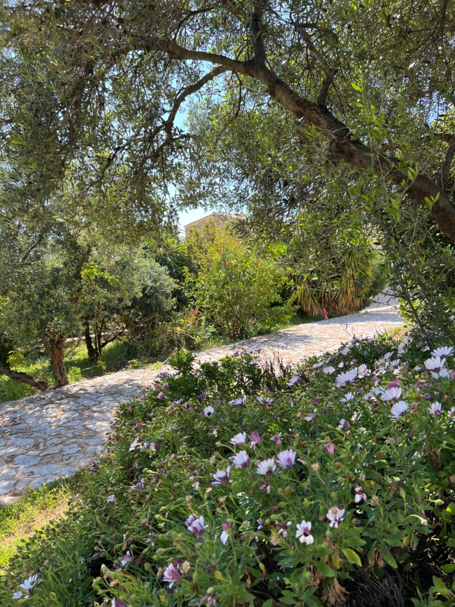 Koukouri Village Kafiona Exterior foto